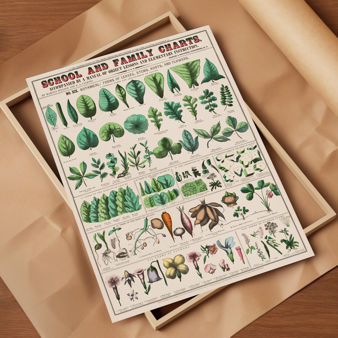 Botanical Botanical - Contemporary Travel Poster - Image 2