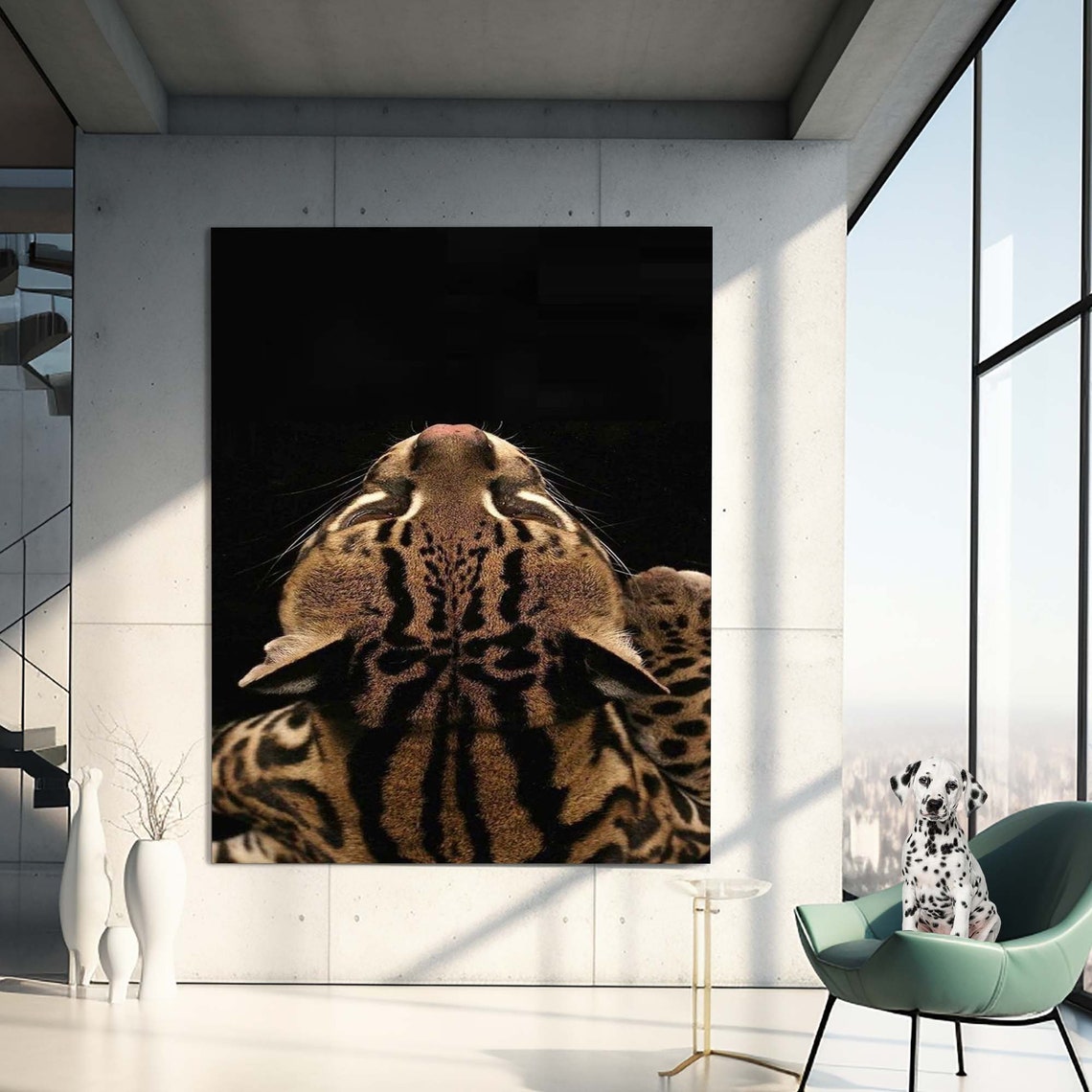 Ocelot Wild Cat Close Up Black Background Wildlife Wall Poster - Image 3