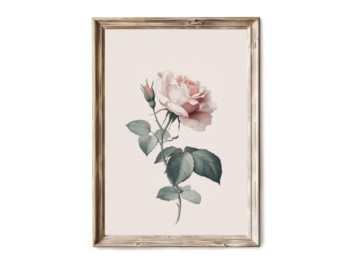 Vintage Blush Pink Roses Botanical Illustration Floral Print