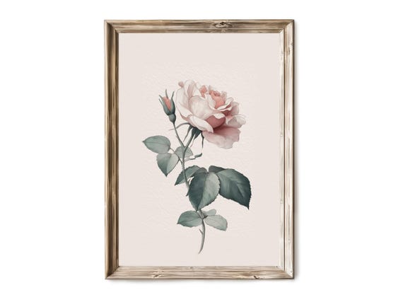 Botanical Rose Illustration Wall Art Vintage Flower Drawing Detailed Garden Floral Print Antique Style Decor 16
