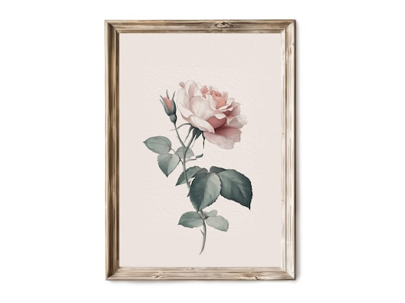 Vintage Blush Pink Roses Botanical Illustration Floral Print