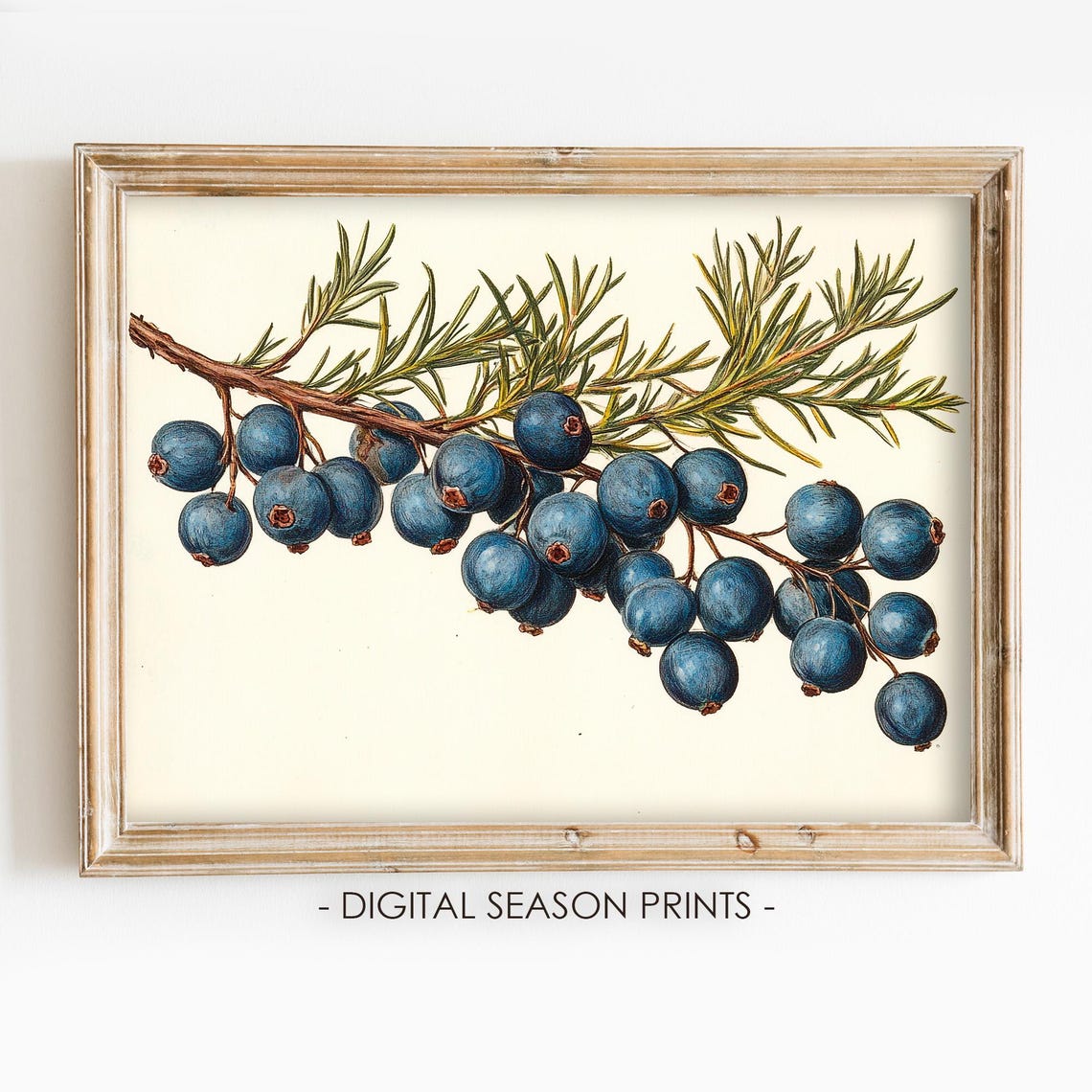 Vintage Blue Berry Branch Botanical Illustration Holiday Wall Art