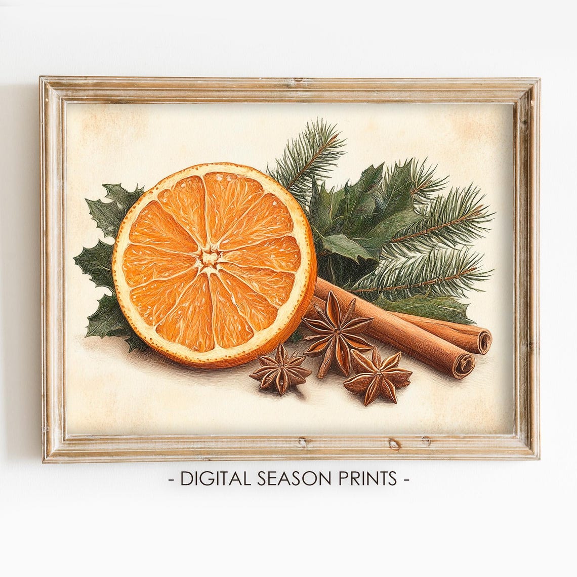 Orange Slice with Cinnamon Star Anise Christmas Botanical Poster