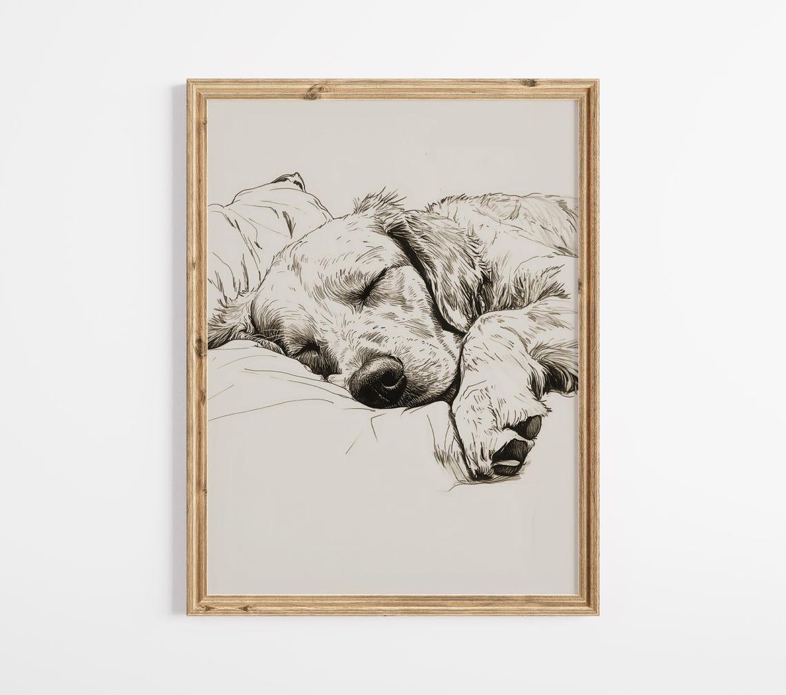 Sleeping Golden Retriever Vintage Pen Sketch Dog Portrait Poster