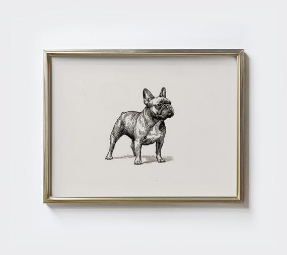 French Bulldog Sketch Print Minimalist Dog Portrait