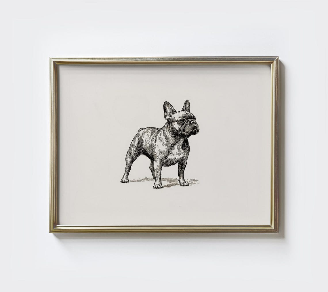 French Bulldog Sketch Print Minimalist Dog Portrait