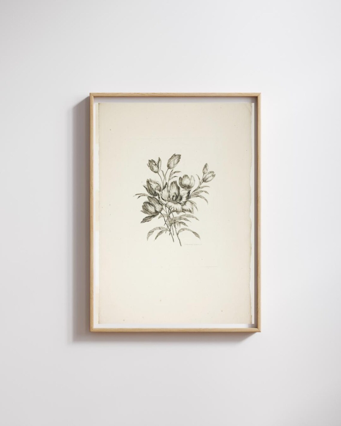 Flower Drawing Vintage Botanical Art Print