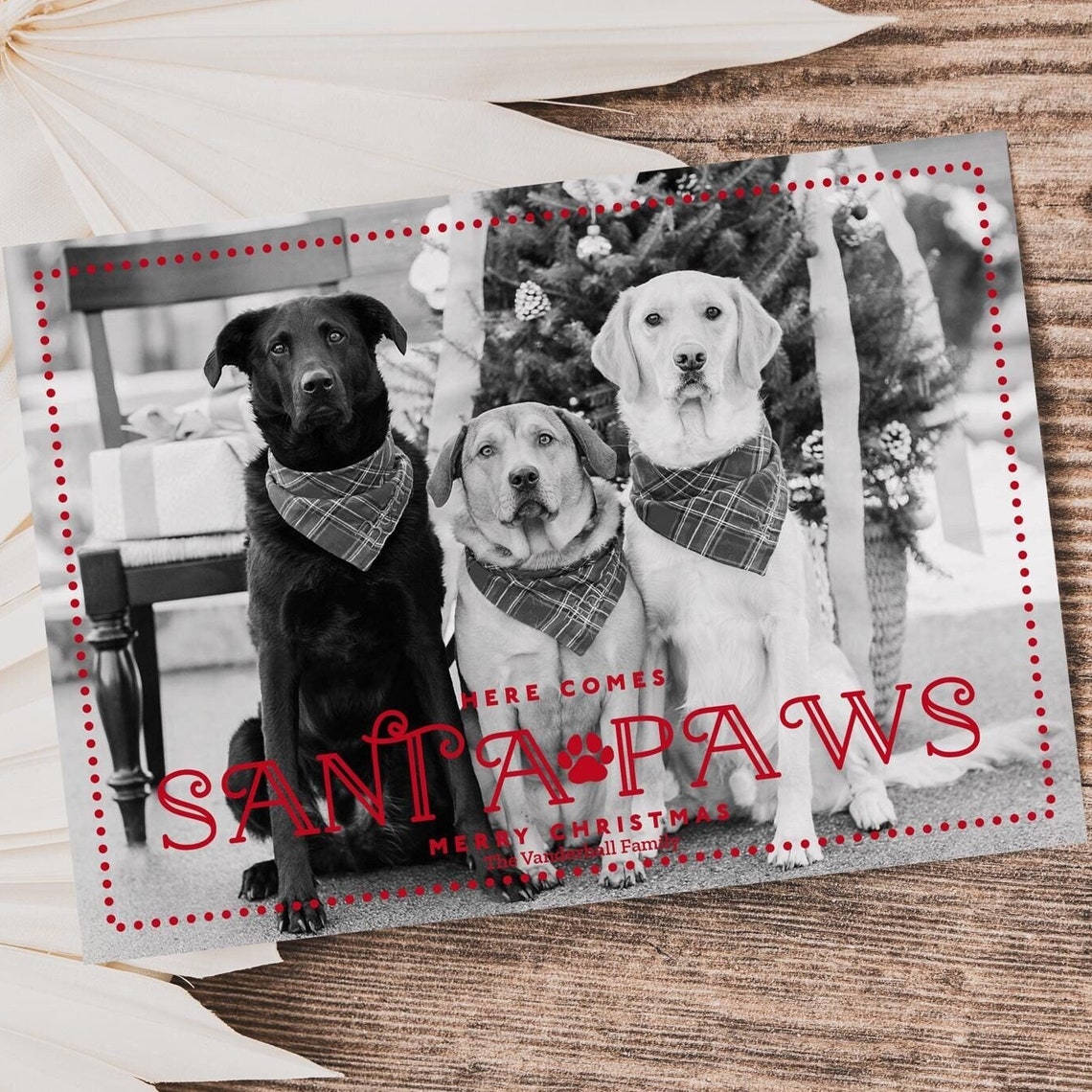 Dog Photo Christmas Card Template Pet Photo Christmas Card Dog Christmas Card Santa Paws Editable Dog Christmas Card Instant