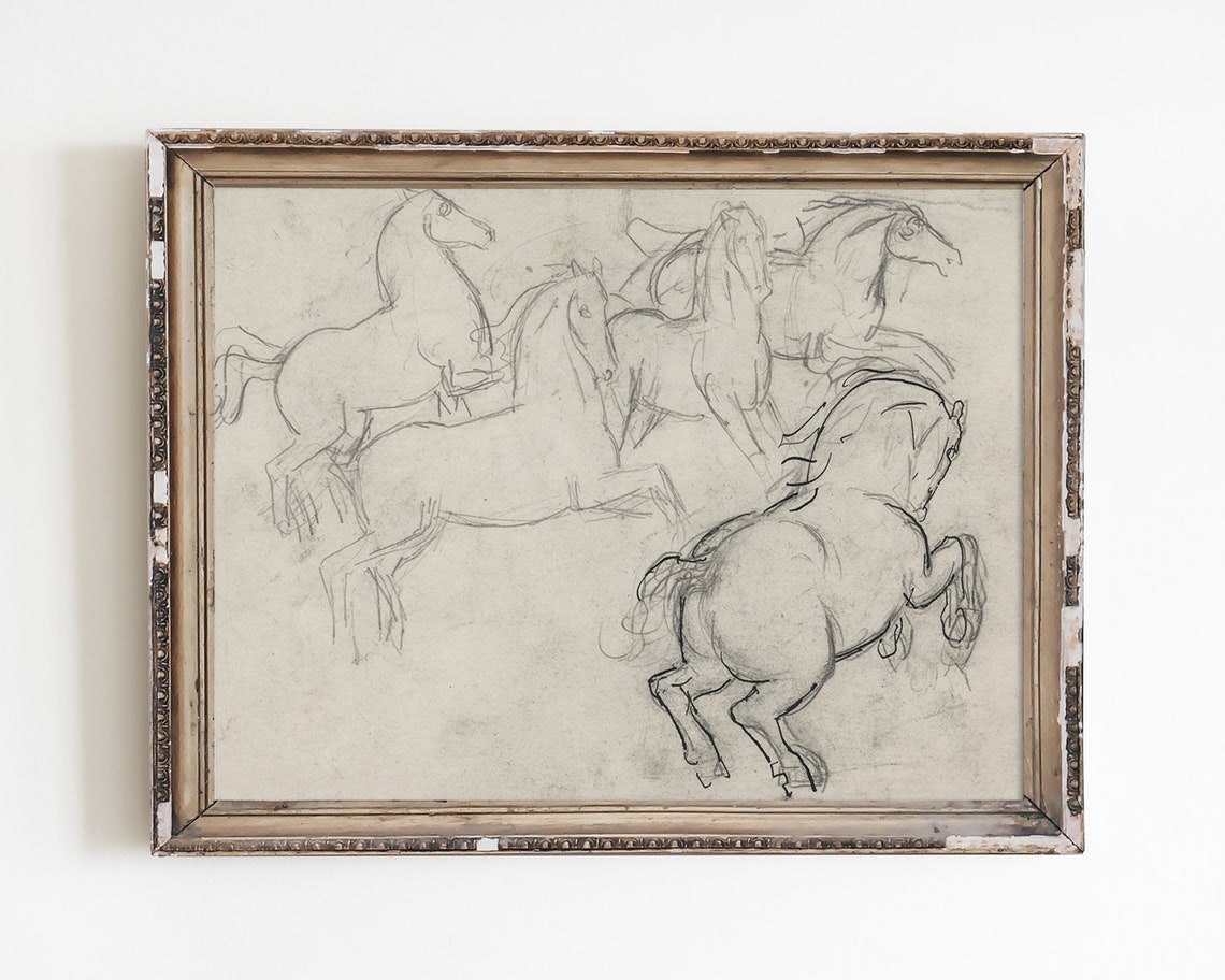 Vintage Studies of Four Galloping Horses Pencil Sketch Art Poster