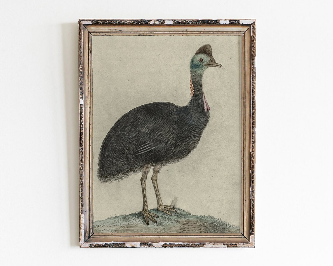 Vintage Minimalist Bird Sketch Art Print
