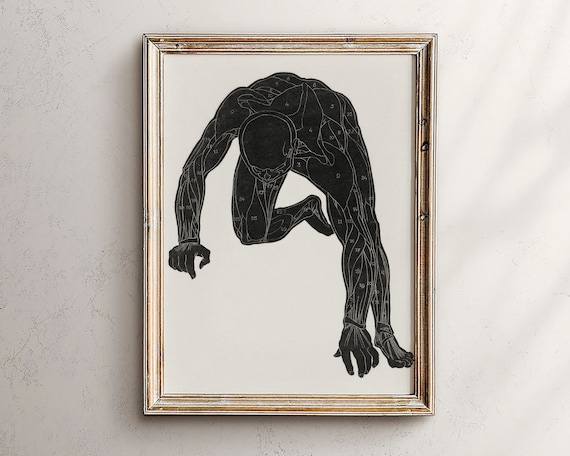 Vintage Male Anatomy Muscle Study Black Silhouette Art Print
