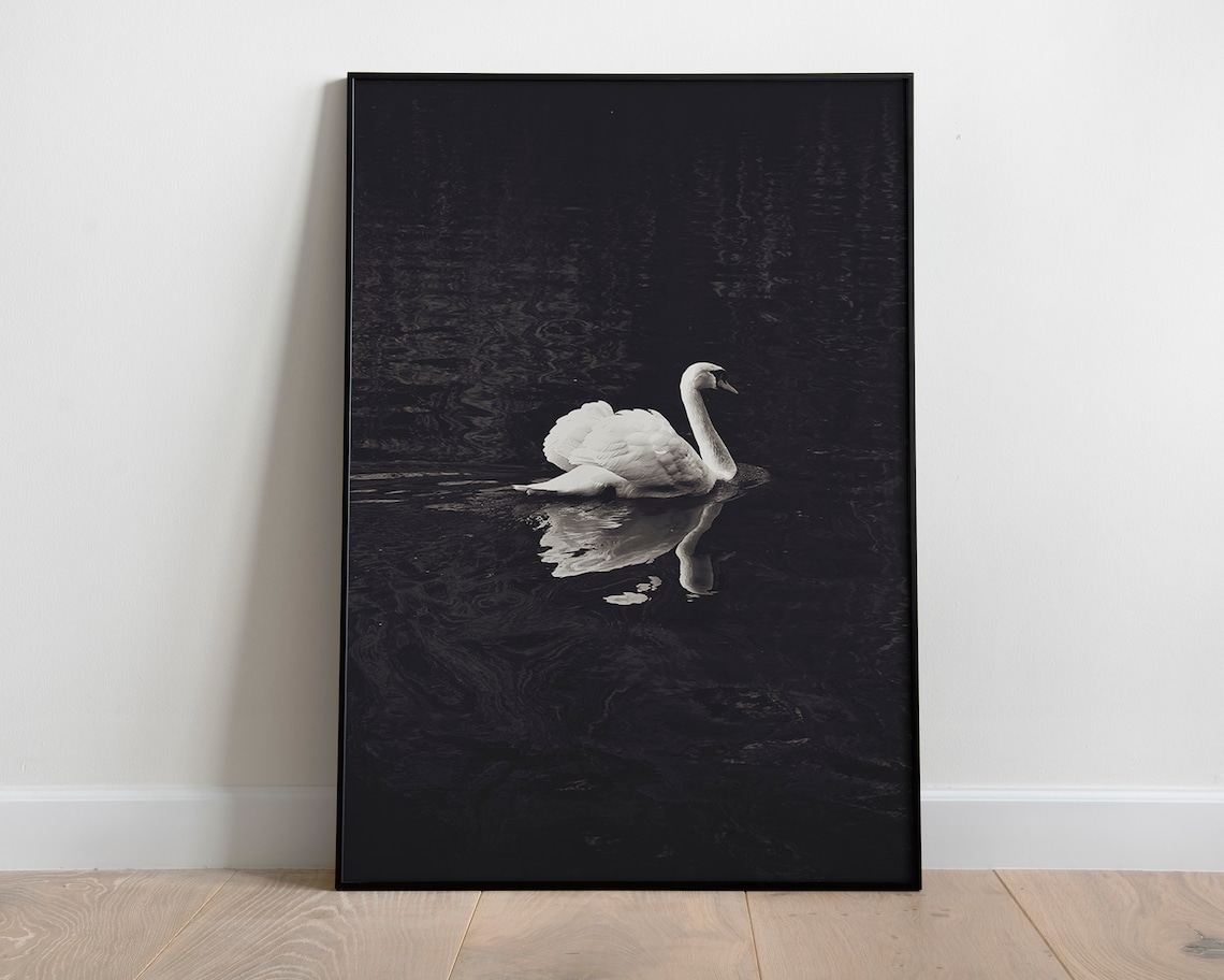 Dark Academia Swan Print, Black And White Poster