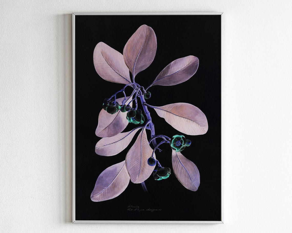 Dark Botanical Branch Poster With Blush Pink Leaves On Black