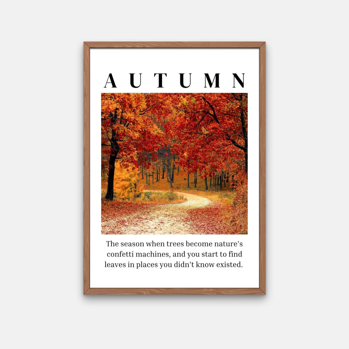 Autumn Definition Red Fall Forest Path Photo Funny Quote Poster