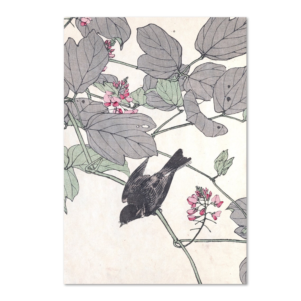 Imao Keinen Kacho Gafu Black Bird Blossom Branch Woodblock Poster