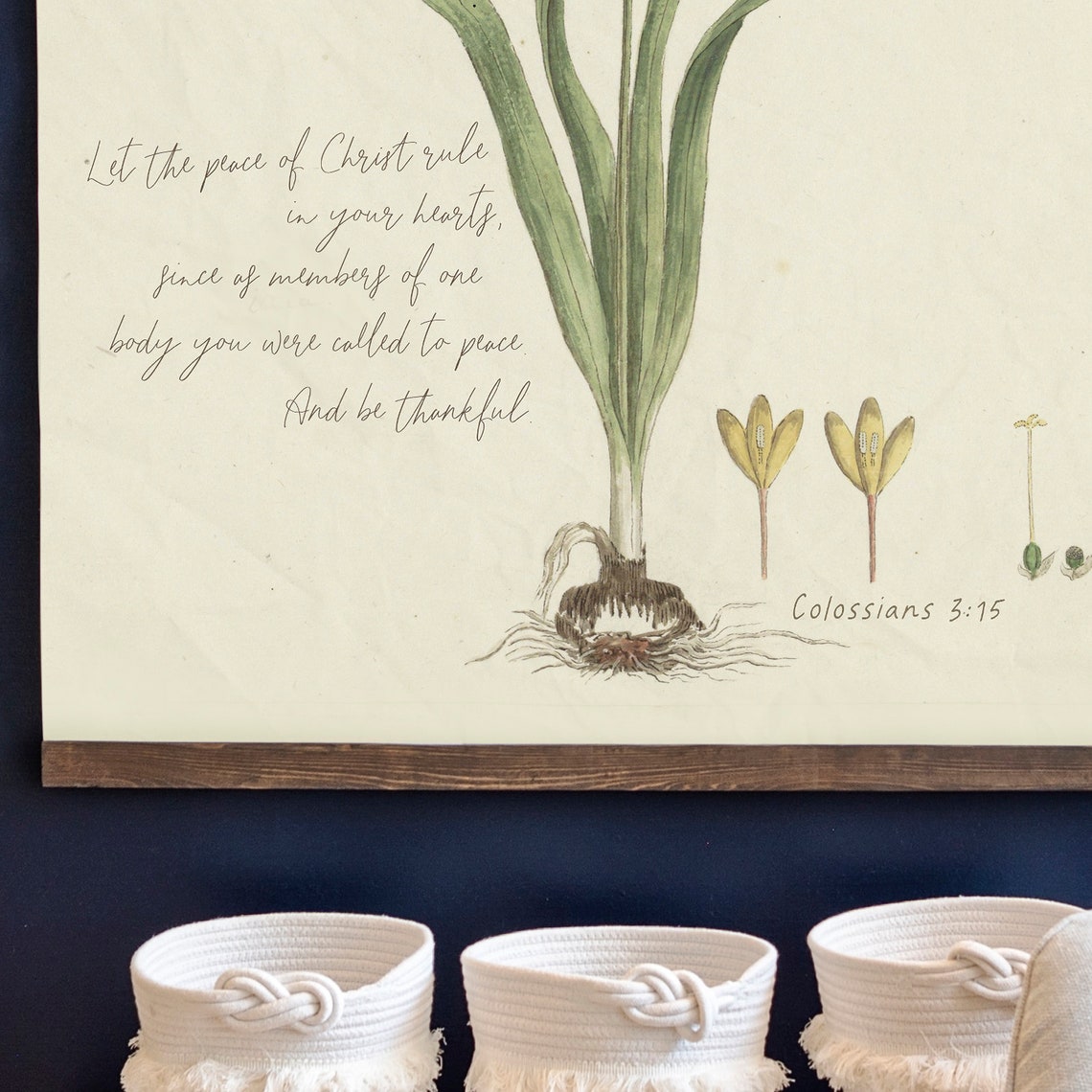 Colossians 3:15 Vintage Botanical Yellow Bloom Scripture Poster - Image 2