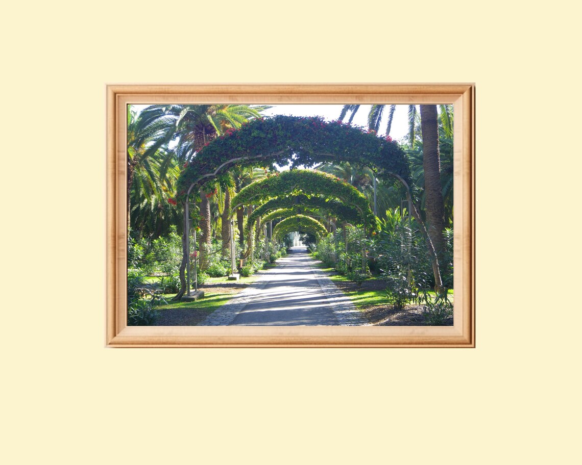 Park Alley Archway Photography, Tenerife Canary Islands