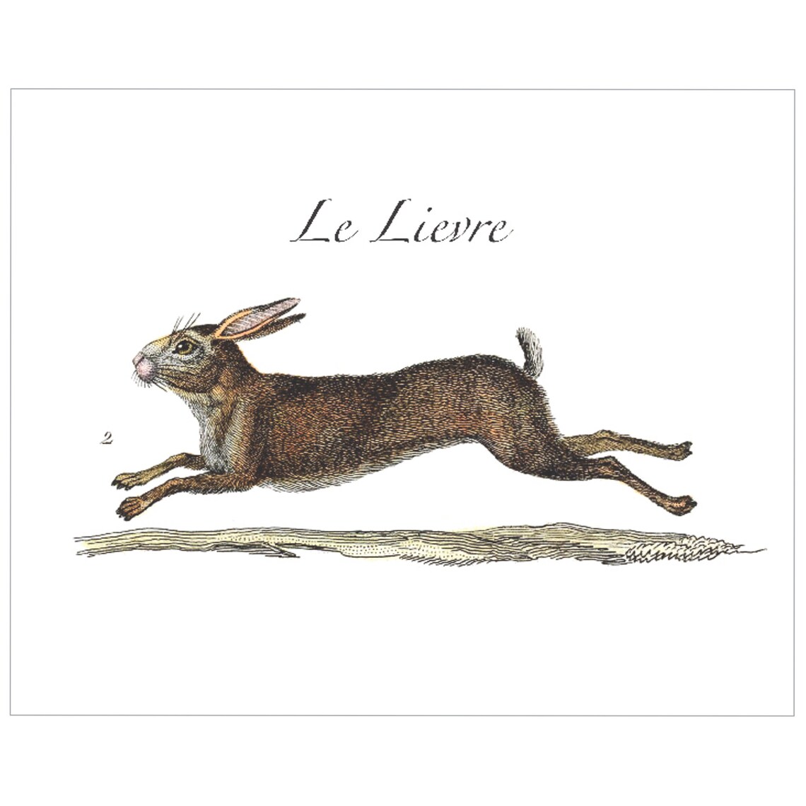 Folk Art Rabbit Watercolor Illustration Art Print - Image 3