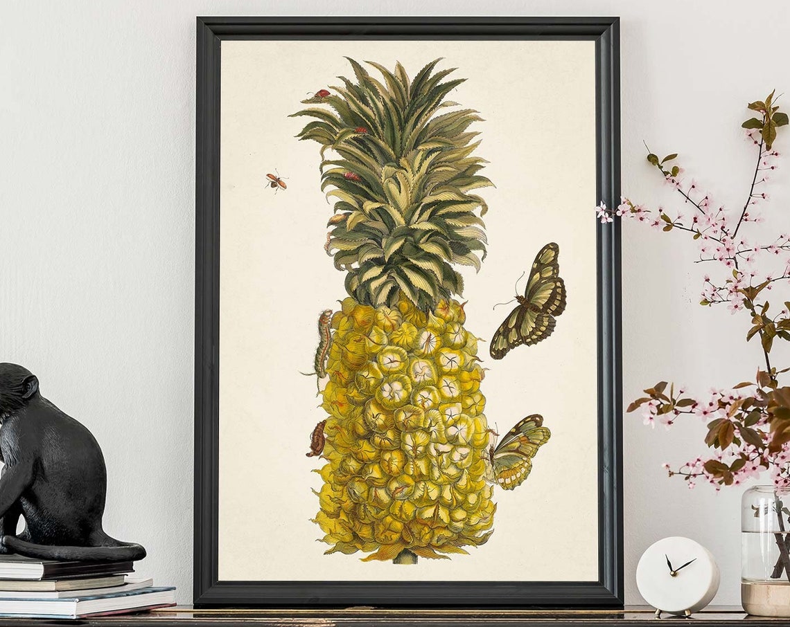 Vintage Pineapple Illustration Antique Tropical Print Botanical Home Decor Fruit Poster