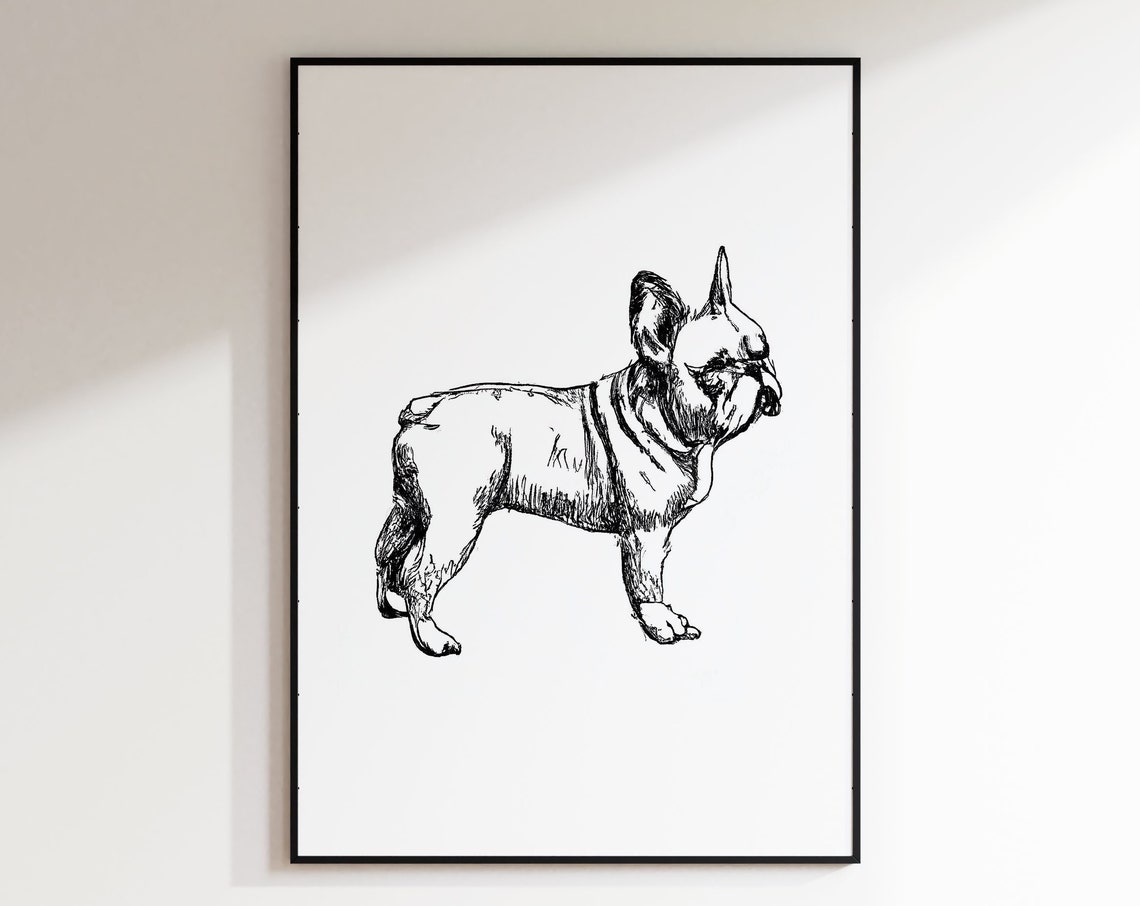 French Bulldog French Bulldog Poster Sketch Up Of A French Bulldog Your Dog As A Picture Bulldog Sketch