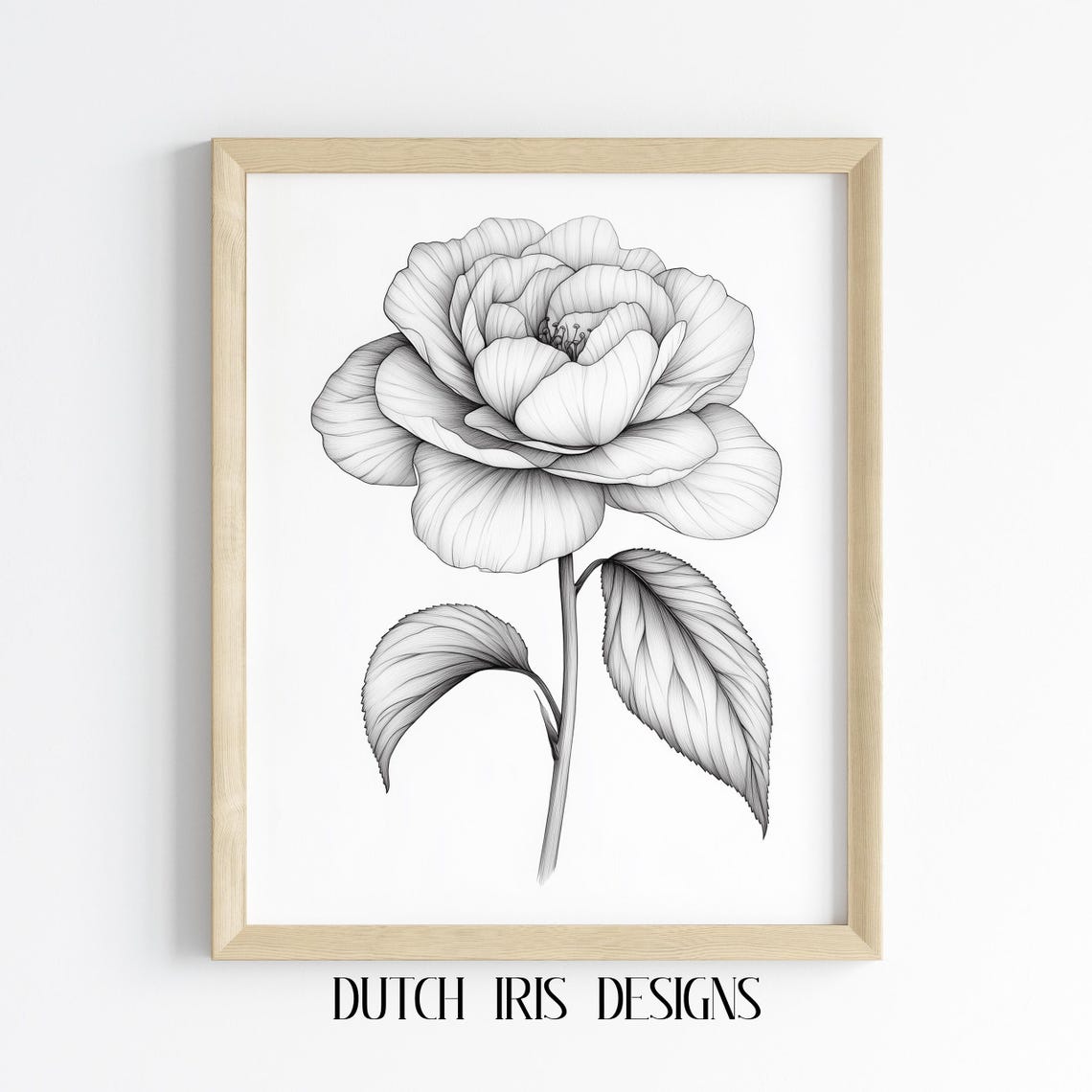 Camellia Bloom Black Line Drawing Elegant Botanical Floral Poster
