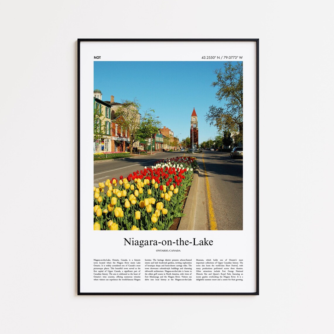 Niagara On The Lake Ontario Tulips Main Street Travel Poster