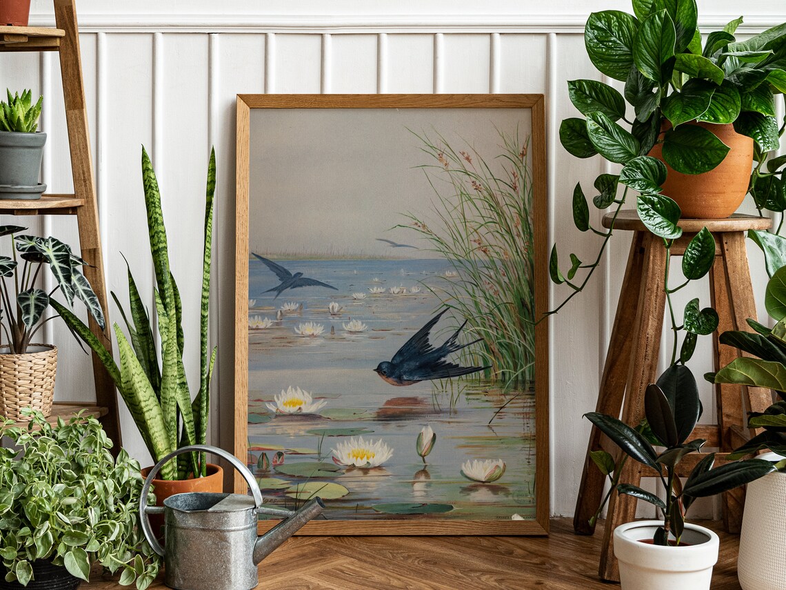 August By Fidelia Bridges, Vintage Birds Art Print