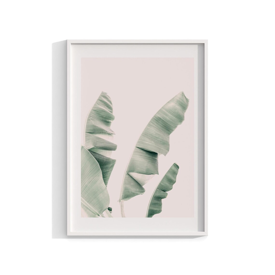 Banana Leaves Tropical Photography Art Print