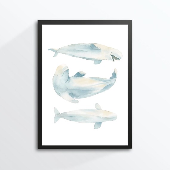Din A4 Art Print Without Frame Whale Beluga White Whale Sea Bathroom Watercolor Maritime Poster Image