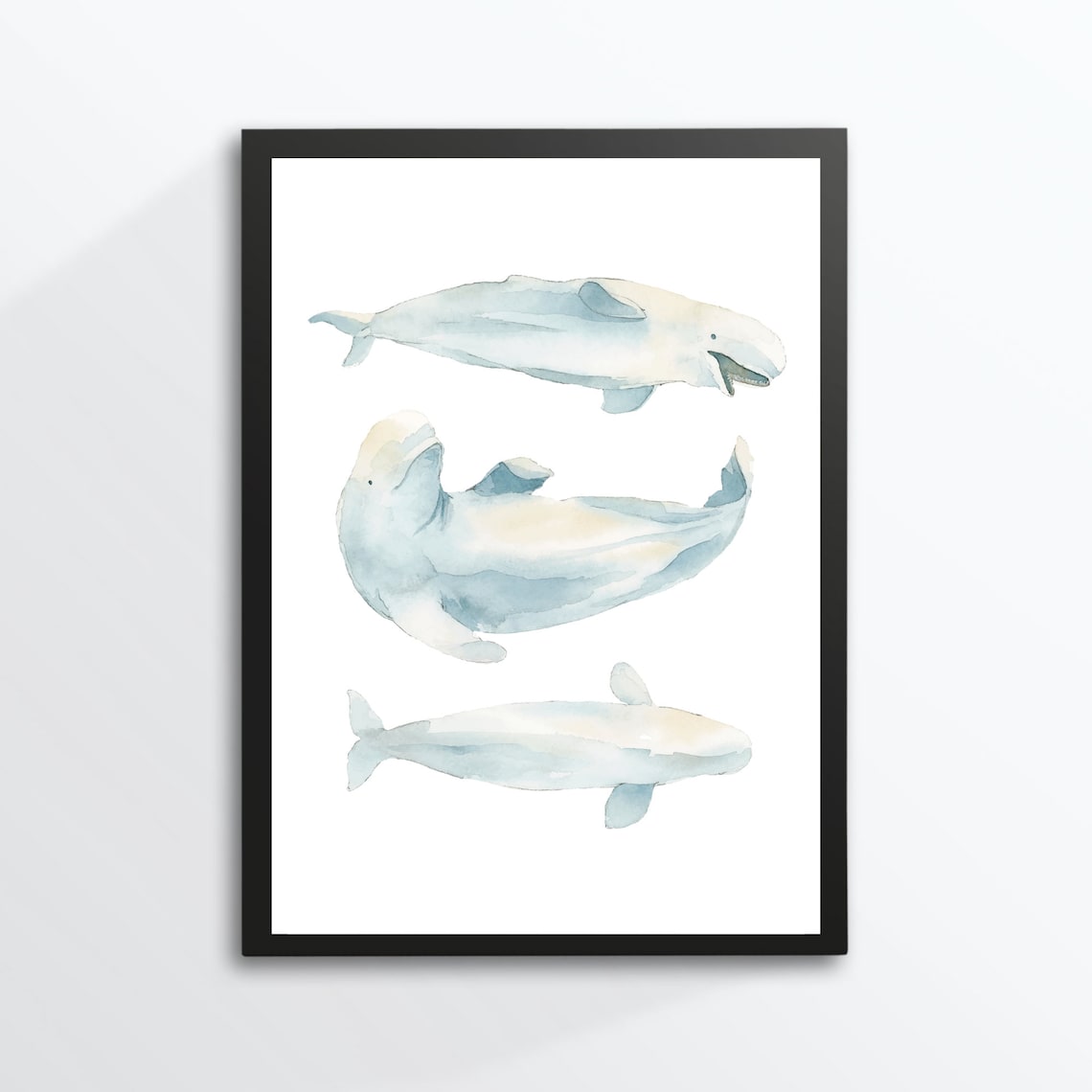 Beluga Whale Trio Watercolor White Arctic Sea Life Nursery Art Poster