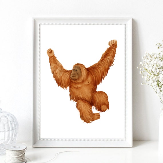 Din A4 Art Print Without Frame Cute Orangutan Ape Monkey Southeast Asia Watercolor Poster Print Picture