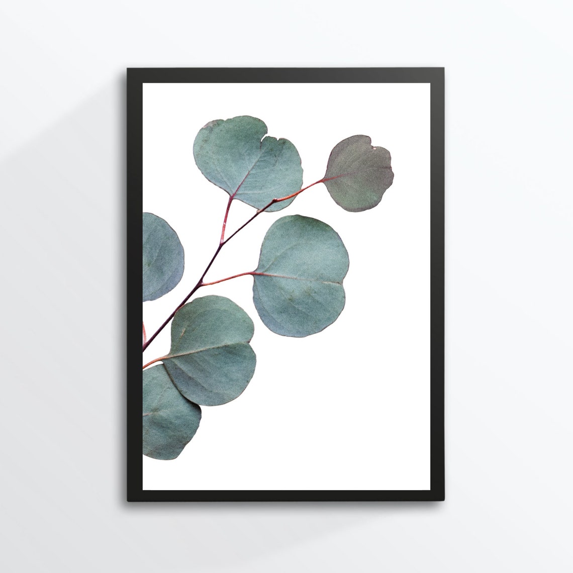 Eucalyptus Branch Minimal Botanical Photo Green Leaves Wall Print