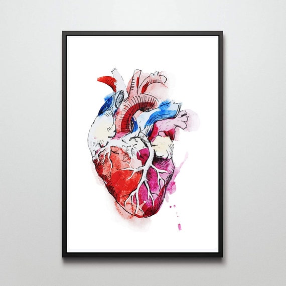 Din A4 Art Print Without Frame Heart Vessels Anatomy Body Human Watercolor Colorful Modern Picture Poster Gift