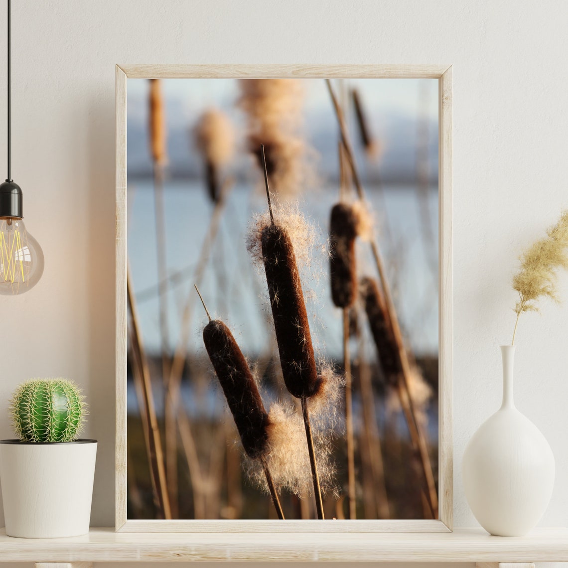 Cattail Reeds Fluffy Seed Heads Lakeside Nature Photo Wall Art