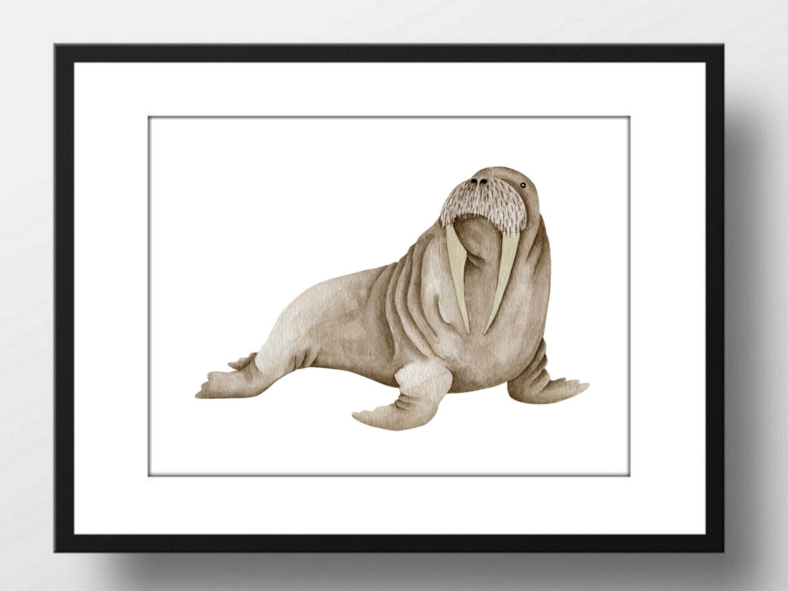 Walrus Watercolor Animal Illustration Neutral Nursery Wall Decor Poster - Image 3