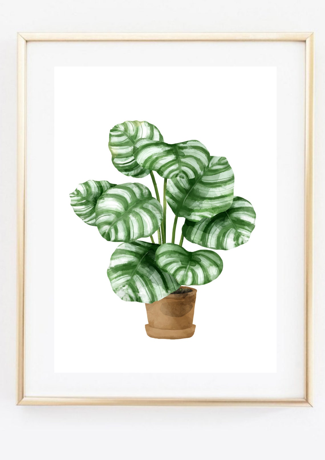 Calathea Prayer Plant Watercolor Potted Houseplant Art Print - Image 2