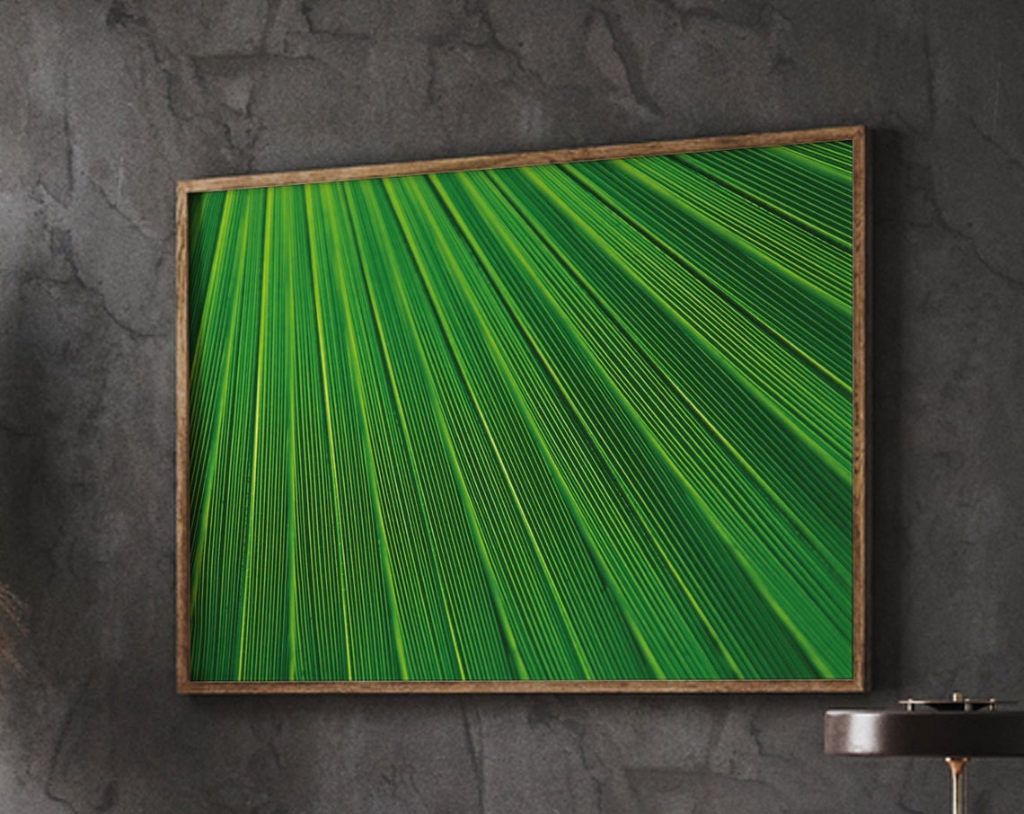 Green Palm Frond Close Up Photography Tropical Leaf Nature Poster