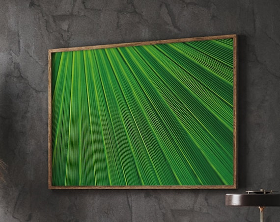 Green Palm Frond Close Up Photography Tropical Leaf Nature Poster