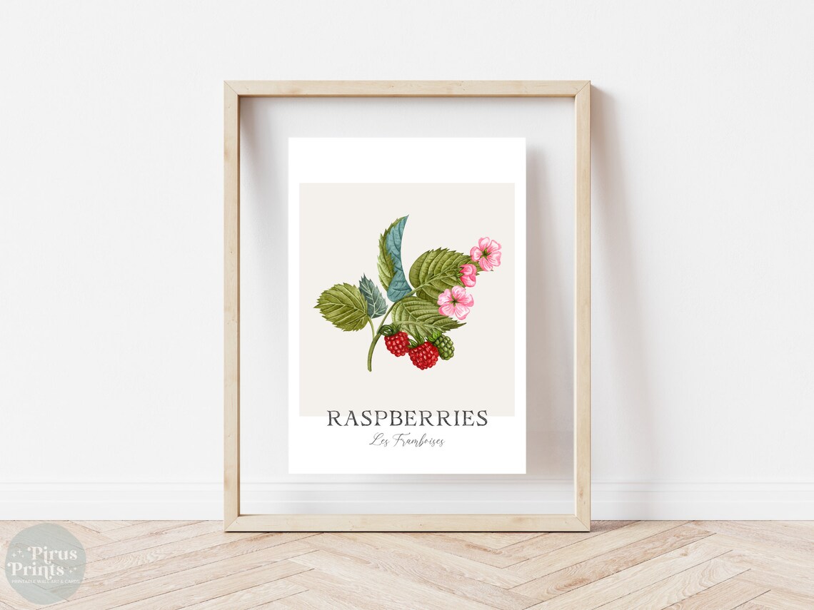 Raspberries Watercolor Botanical Kitchen Art Print - Image 5
