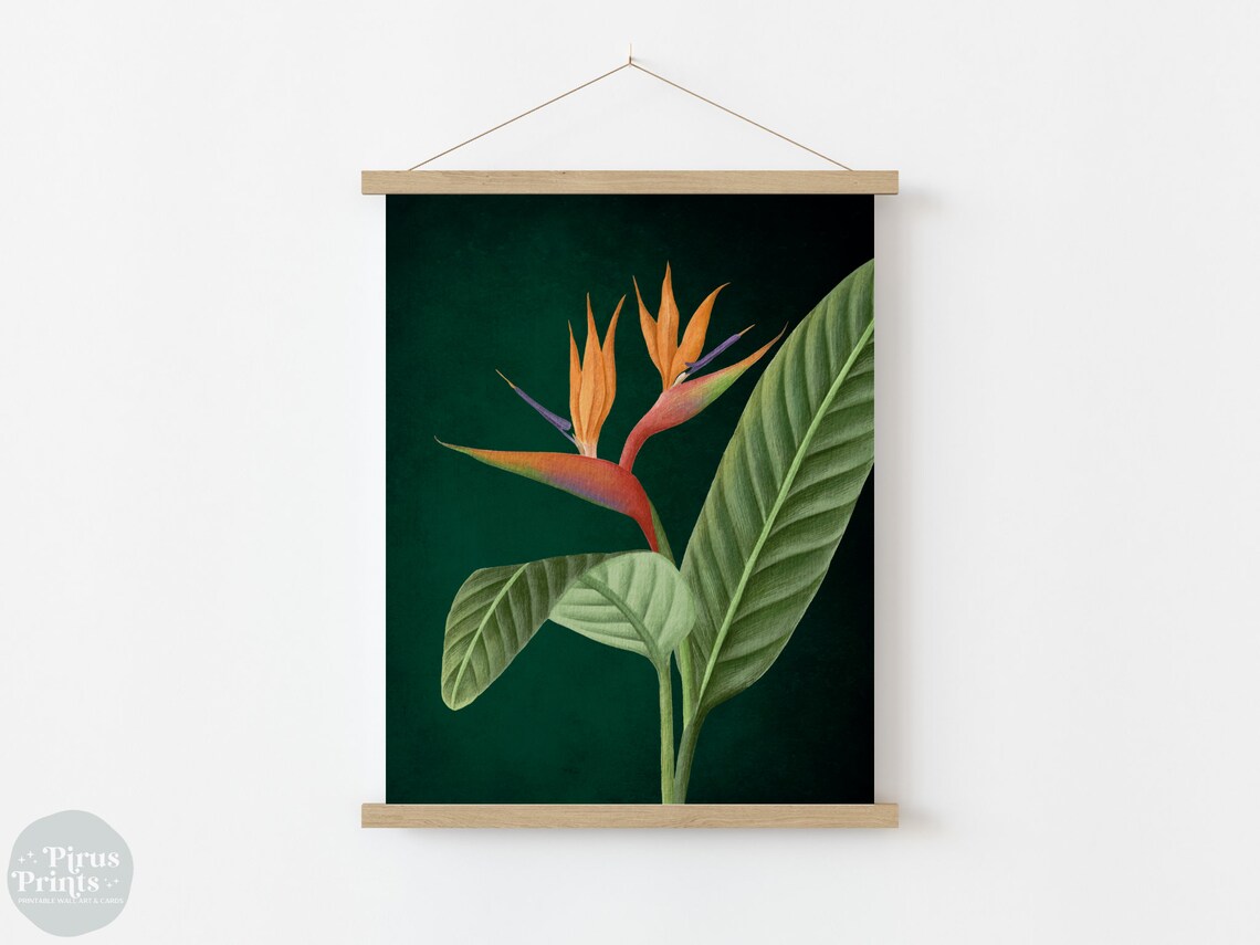 Emerald Green Bird Of Paradise Tropical Botanical Art Print - Image 5