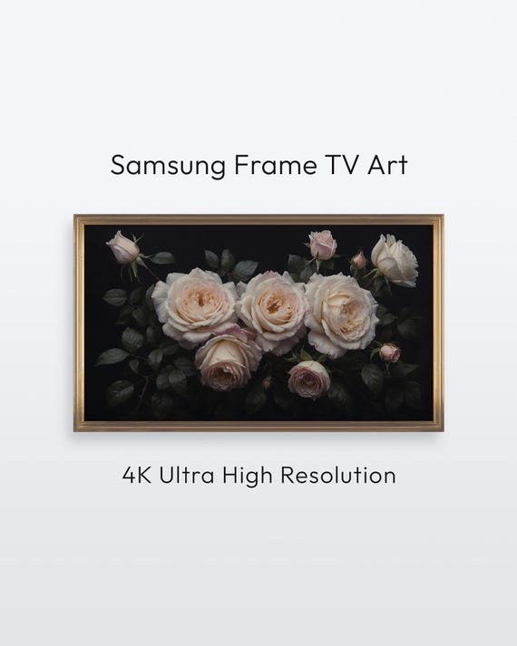 Rose Flower Samsung Frame Tv Dark And Moody Floral Art 4k Print