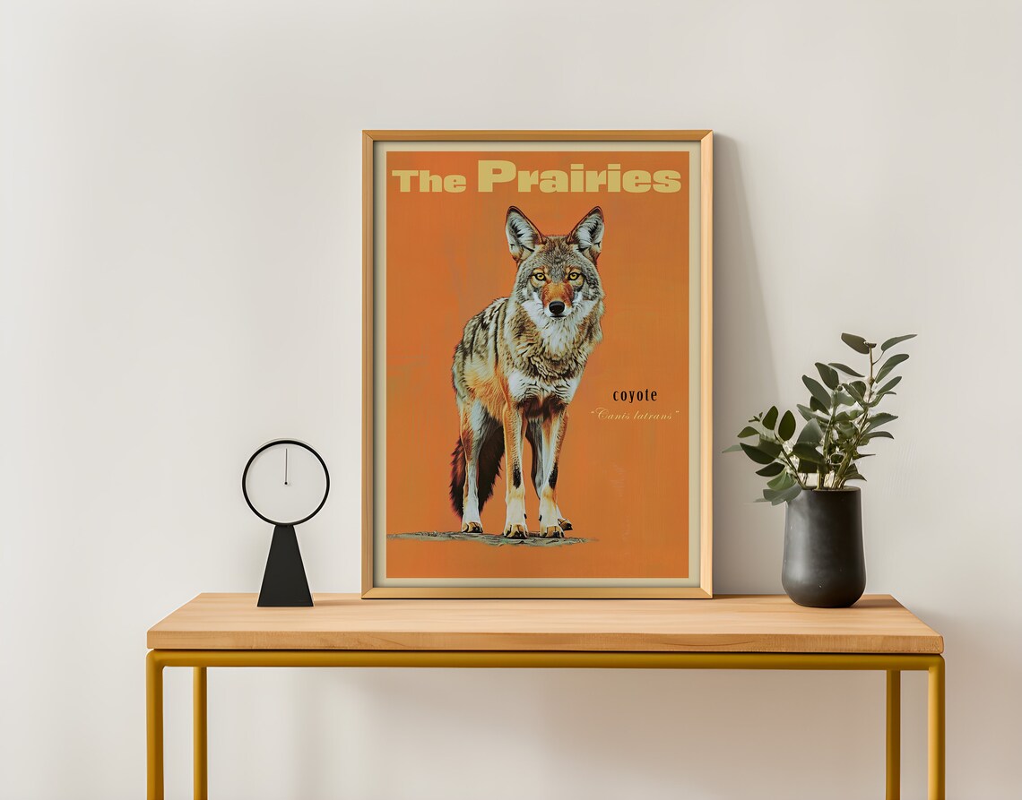 Vintage Coyote Print, Prairies Saskatchewan Canada - Image 4