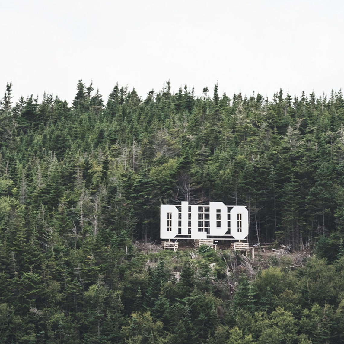 Dildo Newfoundland Hollywood-Style Hillside Forest Sign Photo Poster