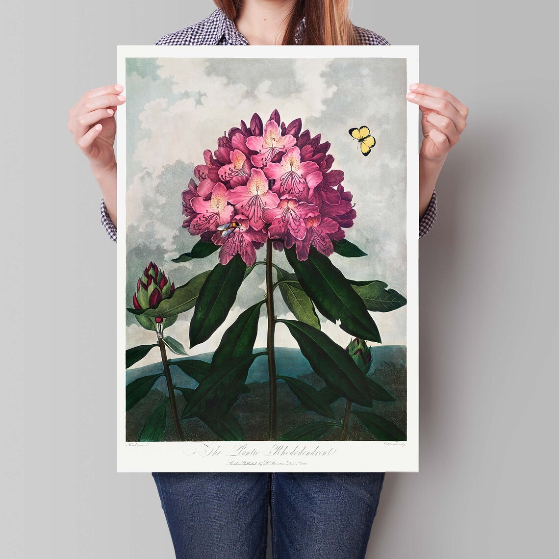 Thornton Rhododendron Botanical Vintage Pink Flower Art Poster - Image 4