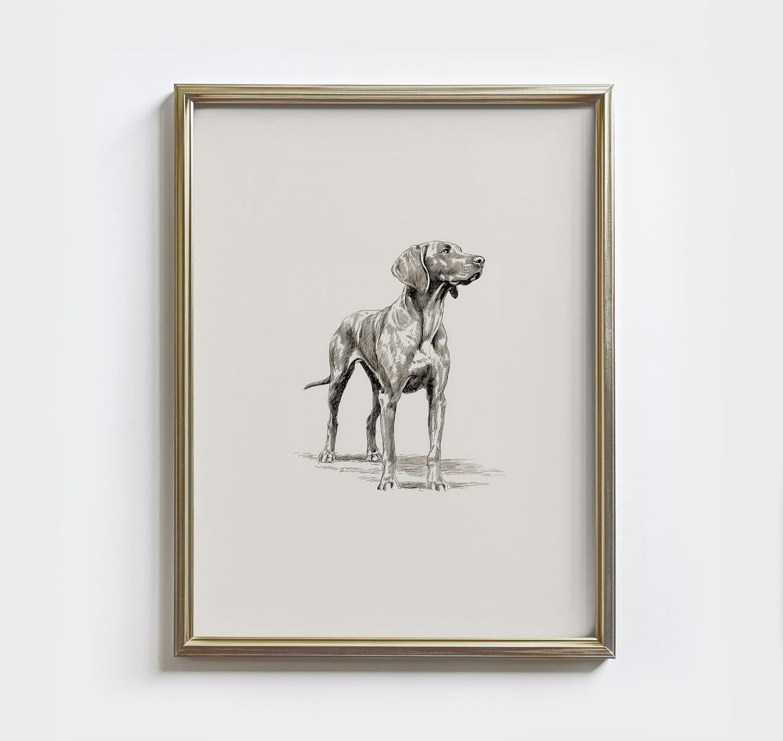 Weimaraner Standing Sketch Minimalist Dog Portrait Art Poster