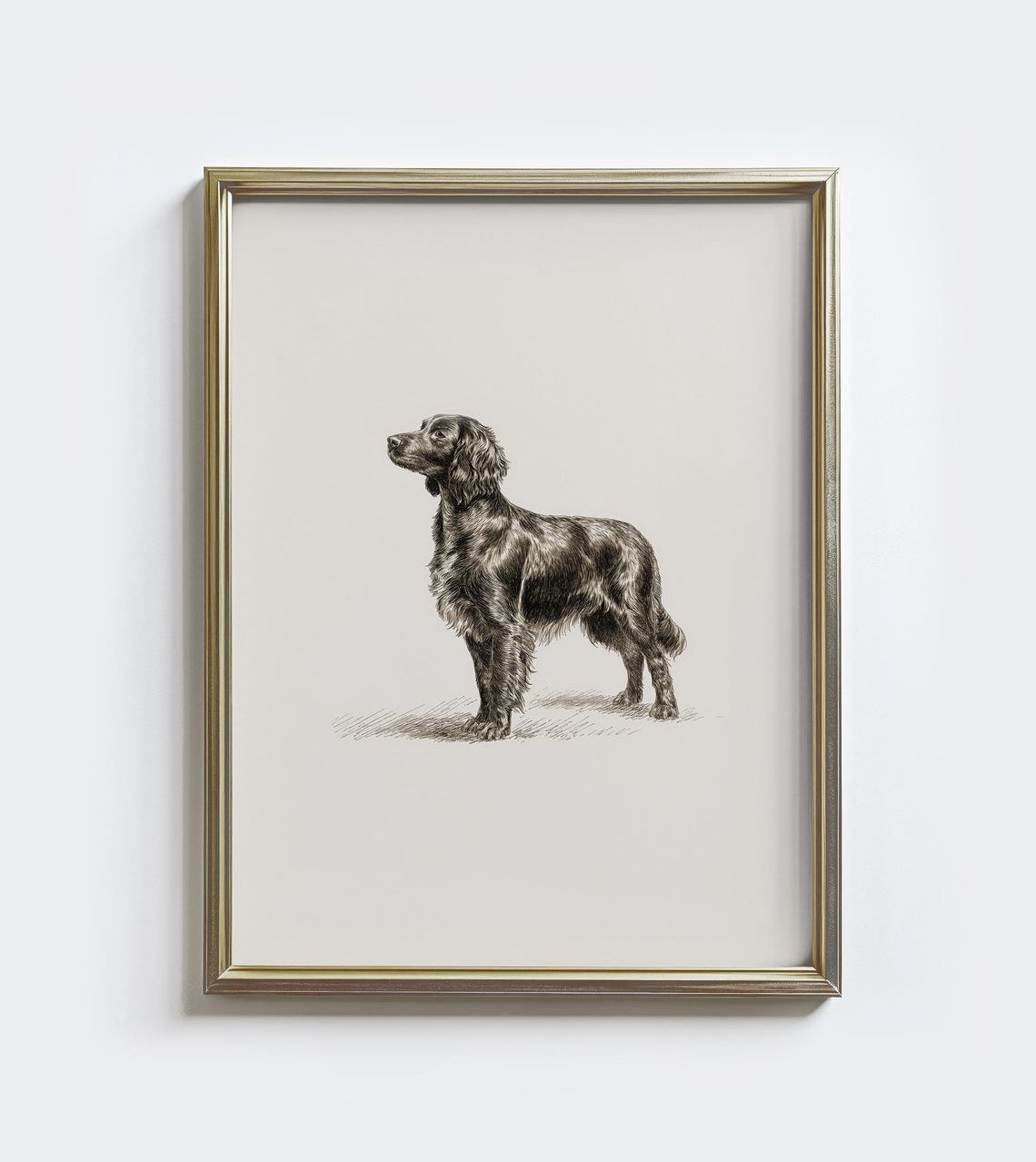 Boykin Spaniel Vintage Sketch Dog Portrait Antique Style Wall Art