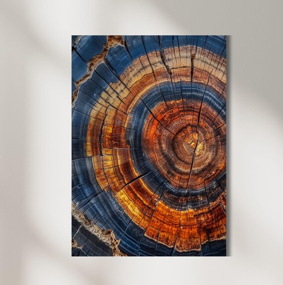 Tree Ring Wall Art Abstract Colorful Tree Ring Wall Decor Farmhouse Living Room Print Minimalist Home Modern Art