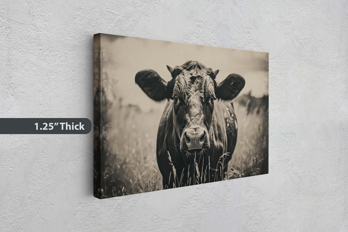 Black And White Cow Portrait Farmhouse Rustic Barn Animal Art Print - Image 3