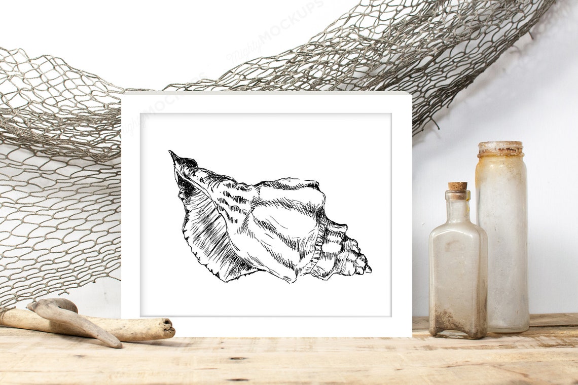 Seashell Ink Drawing Black and White Coastal Shell Beach Art Poster