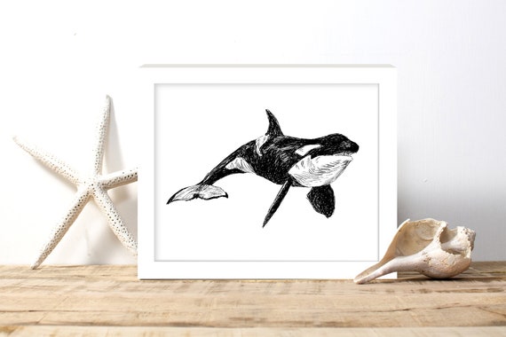 Art Poster Nautical Nursery Art Prints Black And White Beach House Decor Nature Wall Art Nautical Dcor Killer Whale Orca